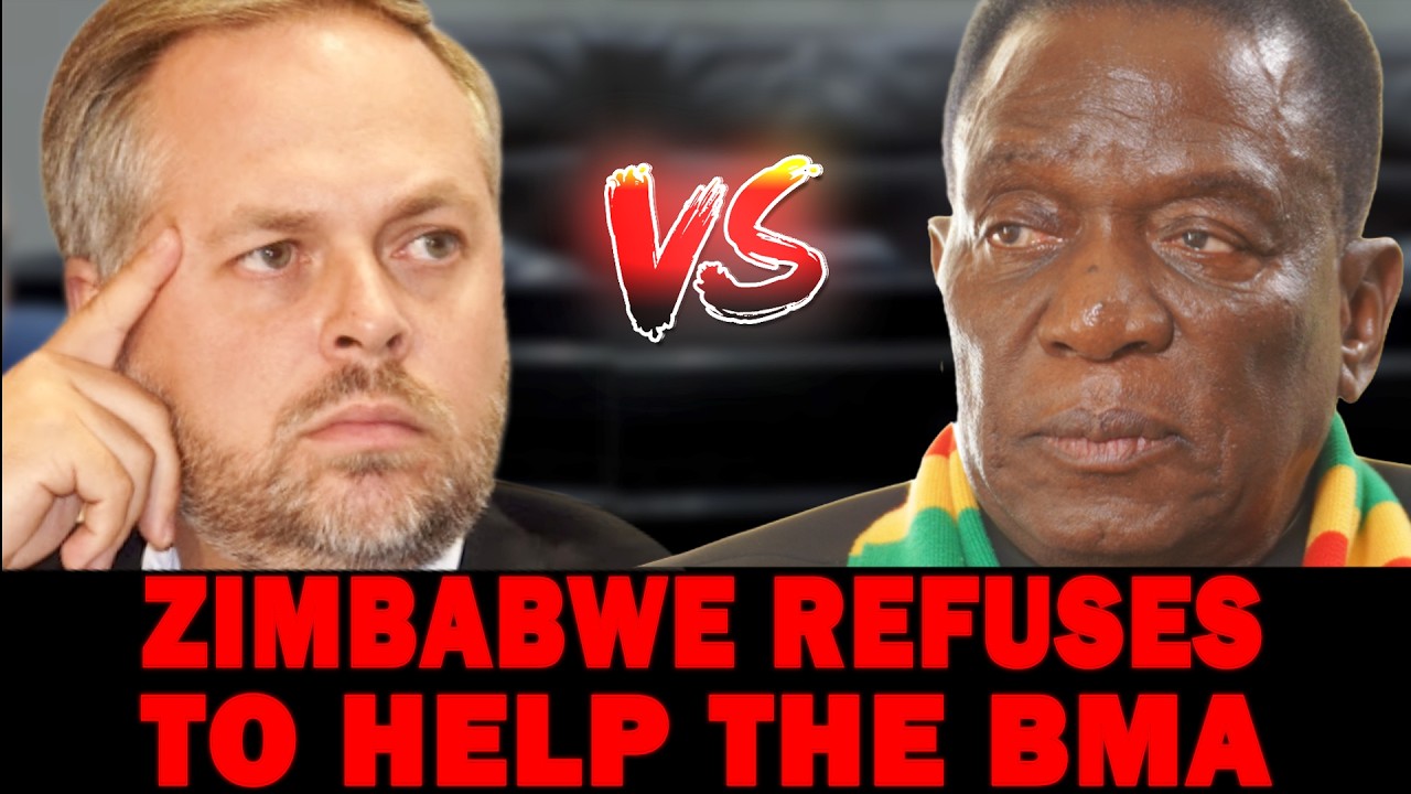 Zimbabwe REFUSES to Help SA With ILLEGAL IMMIGRATION| UN Supports Foreigners FLOODING into SA!