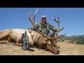 BFHA | Season 1, Episode 7 | Roosevelt & Tule Elk