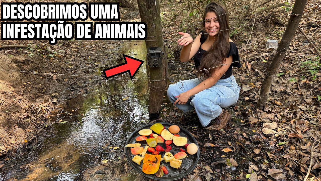 Colocamos câmera trap no rio do sítio isolado e filmou algo incrível