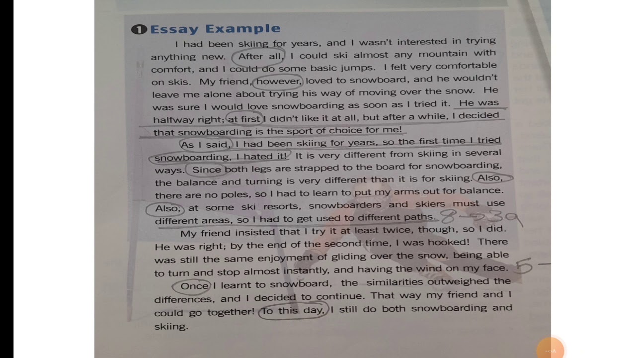 history grade 10 essay 2022 term 4