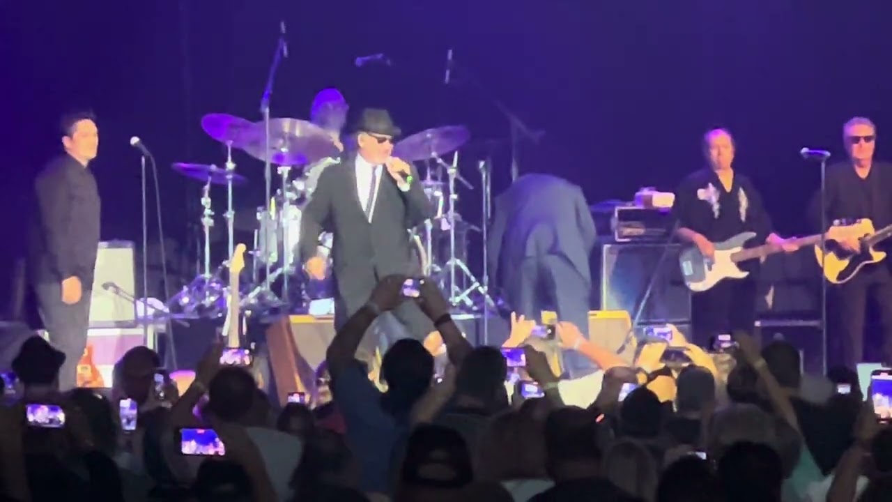 Blues Brothers Live – Sweet Home Chicago (Dan Aykroyd & Jim Belushi, San Antonio 2022)