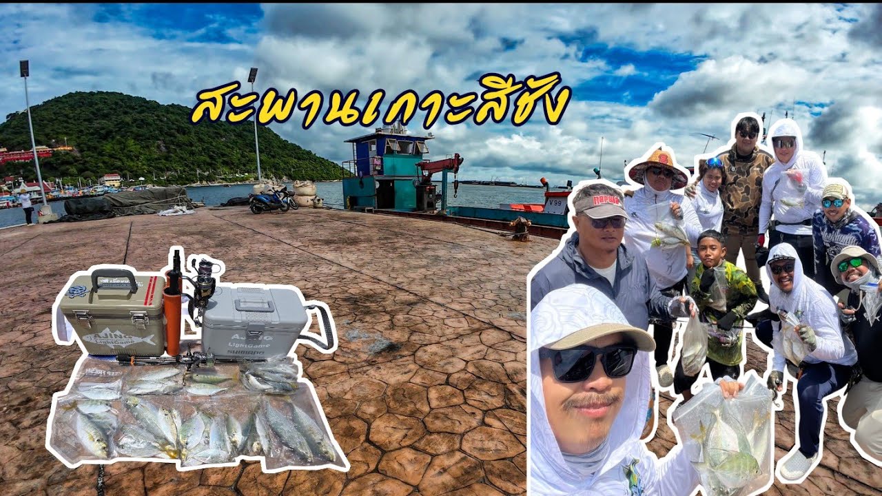 ทัวร์ยกแก๊งมากันอีกแล้ว มัน❗️มัน❗️มัน❗️ #aji #เกาะสีชัง #ปลาสีขนกลม