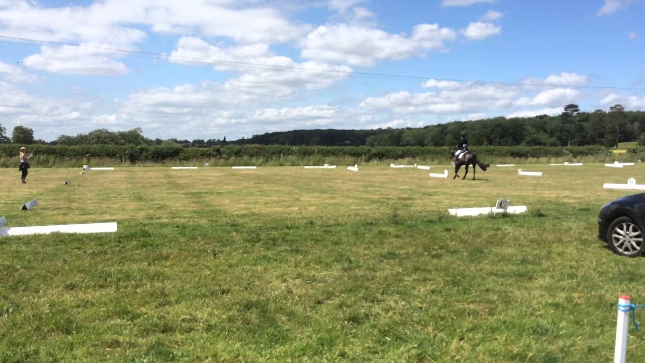 Masterpiece BRC area 5 dressage qualifiers