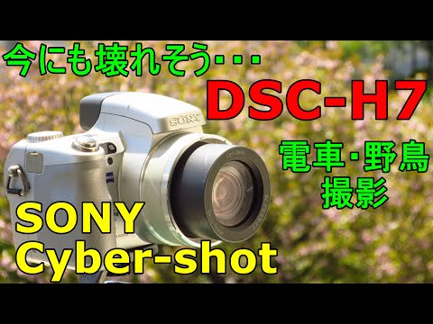 ジャンクネオ一眼 550円 SONY Cyber Shot DSC H7 動作検証 作例 今にも壊れそうなので急いで紹介