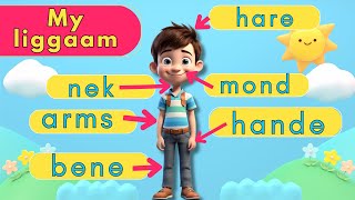 My LIGGAAM vir kinders in Afrikaans | Liggaamsdele en Kinderliedjie