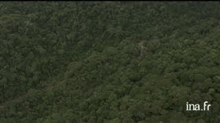 Gabon : paysages divers et buffles
