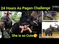 Controlling Elephant for a Day Challenge😱 *Scary* | Elephant🦣 JTS | 24 Hours Challenge