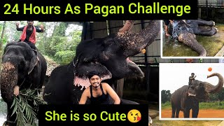 Feeding Elephant For A Day Challenge😱 *Scary* | Elephant🦣 JTS | 24 Hours Challenge