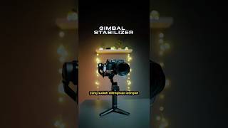 Brica B-Steady Multimate Gimbal Stabilizer Kamera Mirrorless Dengan Ai Tracking