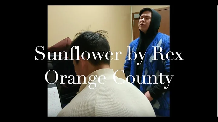 Sunflower - Rex Orange County (Live Cover by Grant...