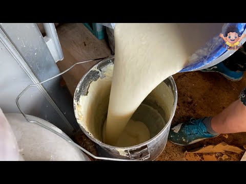 Korean Street Food | Fish-Shaped Bread (Bungeoppang)