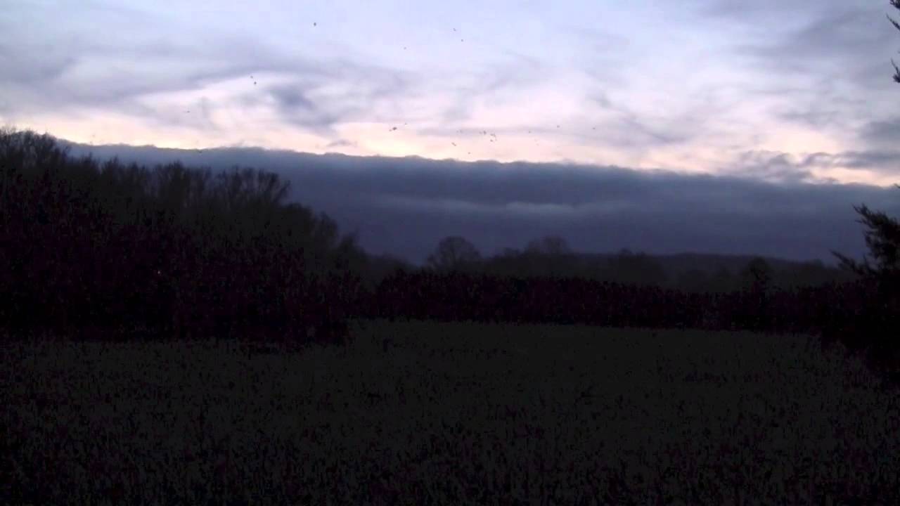 Alabama Duck Hunting YouTube alabama-duck-hunting-youtube