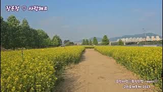 장윤정 ~~ 사랑해요 (가사)   (구리 유채축제 2023/5/14)