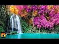 Sleep Music, Calm Music for Sleeping, Delta Waves, Insomnia, Relaxing Music, 8 Hour Sleep, ✿2817C