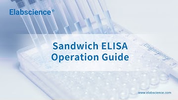 [Latest Version] ELISA (Sandwich Method) Procedure – Enzyme Linked Immunosorbent Assay, Elabscience