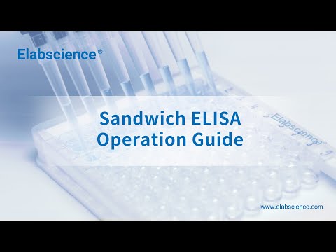 [Latest Version] ELISA (Sandwich Method) Procedure – Enzyme Linked Immunosorbent Assay, Elabscience