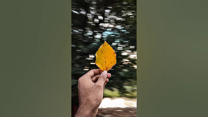 Try this Creative Photography with your phone 💡📱 Easy Trick #youtubeshorts  #photography