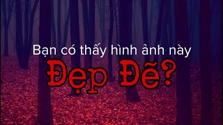 Sự Kì Lạ Của Level 14 -Paradise?