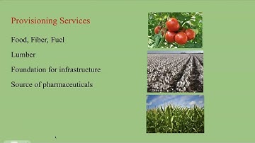 Ecosystem Services Provided By Soils