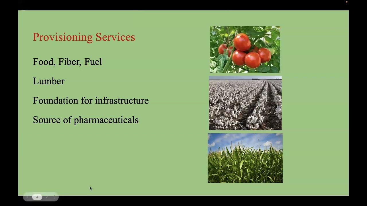 Ecosystem Services Provided By Soils