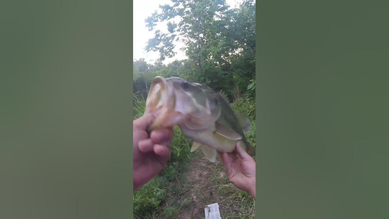 massive top water blow up YouTube