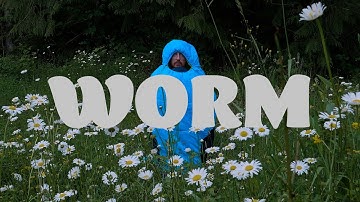 worm (music video)