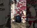 А вы уже заказали подарок Дедушке Морозу? 🎅