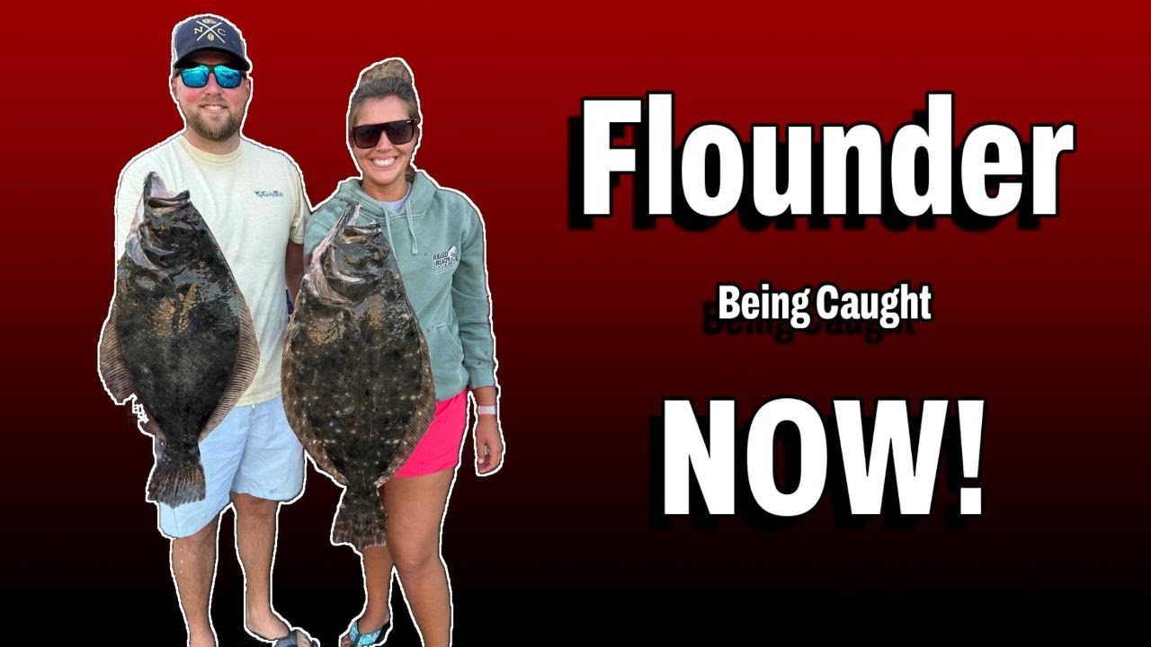Big North Carolina Flounder Being Caught Right Now!