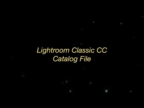 Lightroom Classic Catalog File