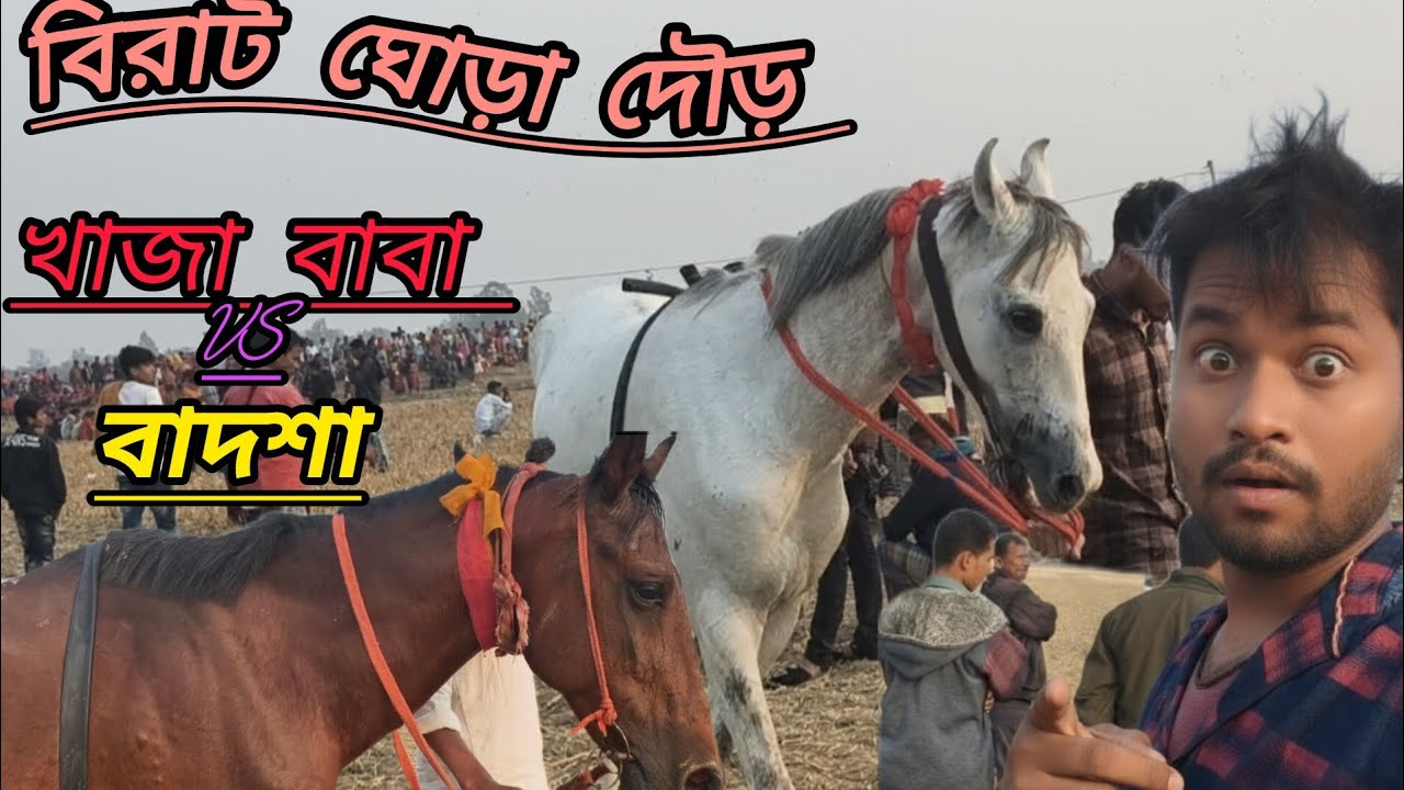 বিরাট ঘোড়দৌড় # স্তন আমতলা মাস্টার পাড়া  খাজা বাবা  vs বাদশা