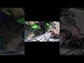 KAWASAKI ZX10R SPOTTED FULL SYSTEM EXHAUST🔥#viralvideo #kawasaki #foryou #automobile #shortvideo