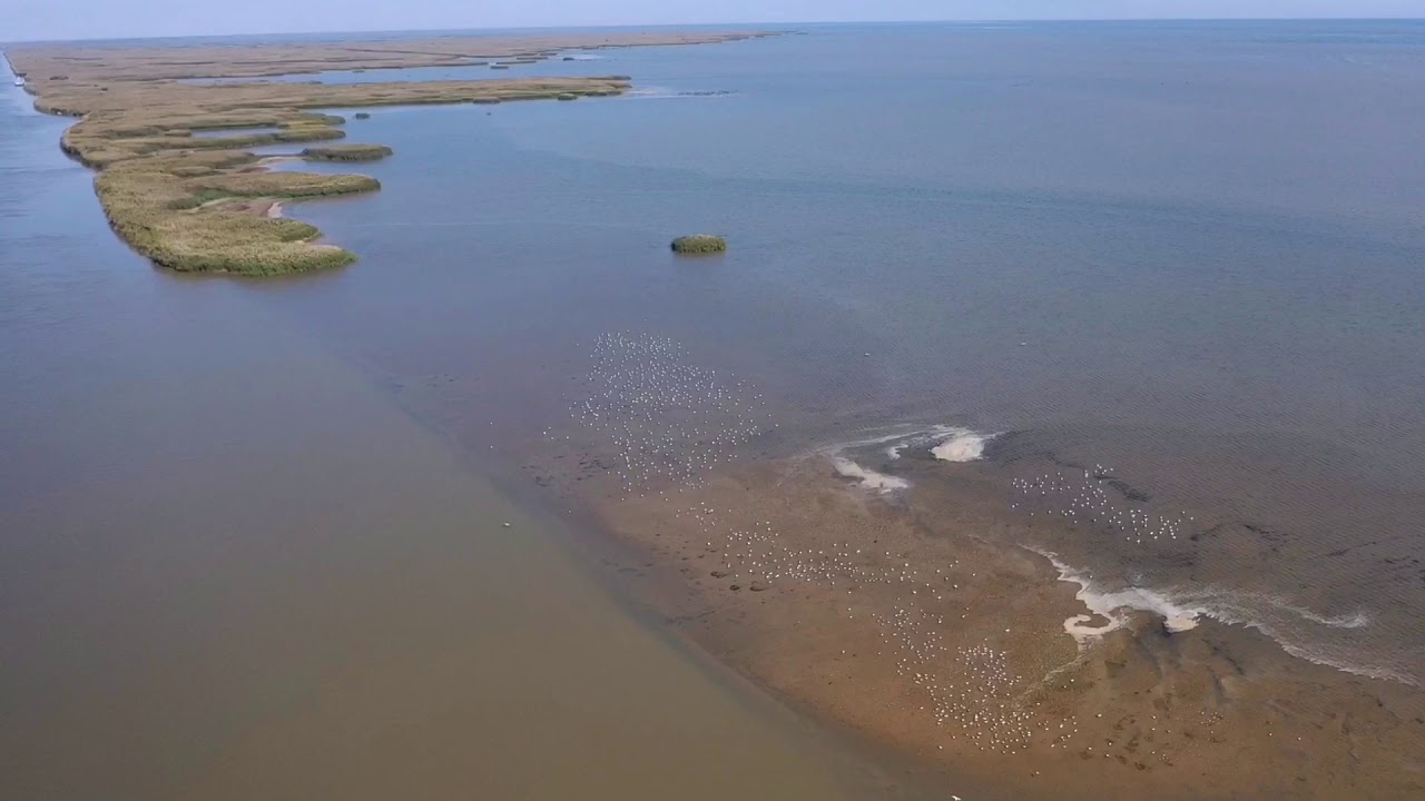 Дельта волги астраханский заповедник