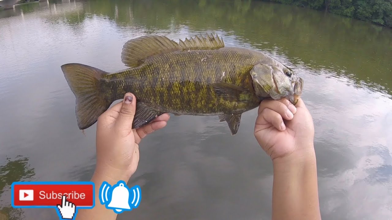 Shore fishing in the Fox Valley❗️