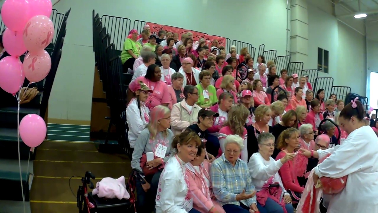 Hundreds walk for breast cancer awareness at Valley National Bank event
