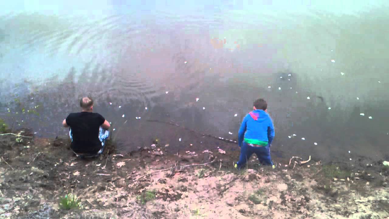 Ich war mal am karpfen teich voll krank die fische YouTube