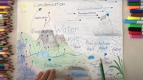 Part 2:  Water Cycle