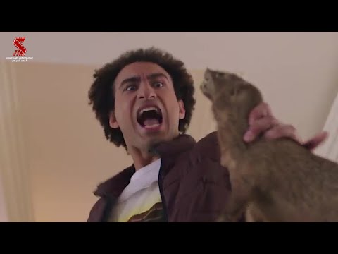 شوف العملية عملت ايه في حسن وبقلظ كريم فهمي علي ربيع