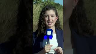 R$ 2 milhões recuperados pela PRF