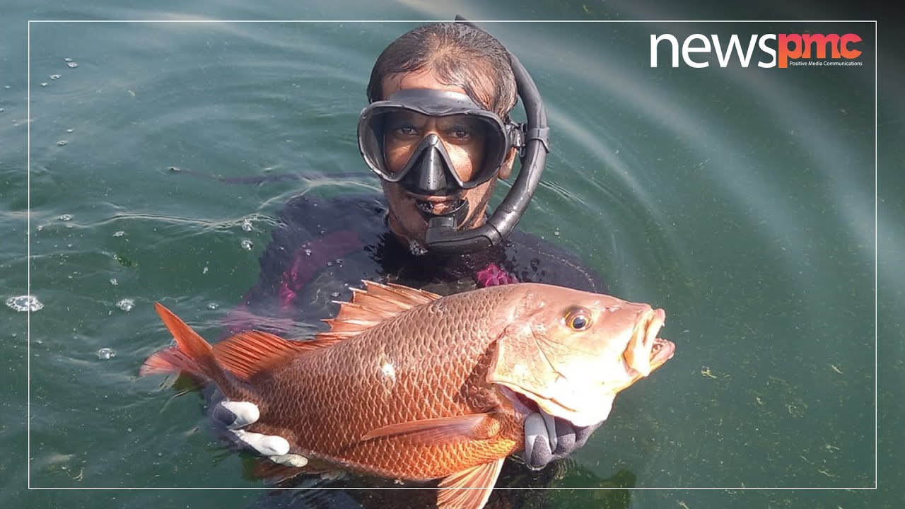 Spear fishing in Karachi | News PMC Pakistan