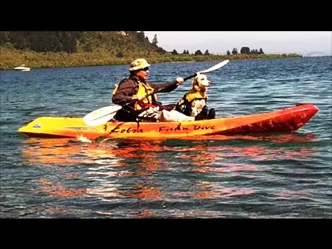Cobra Fish n Dive Kayak First Day Test Run with my dog