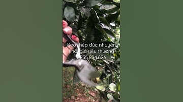 Kéo thép đúc nguyên khối