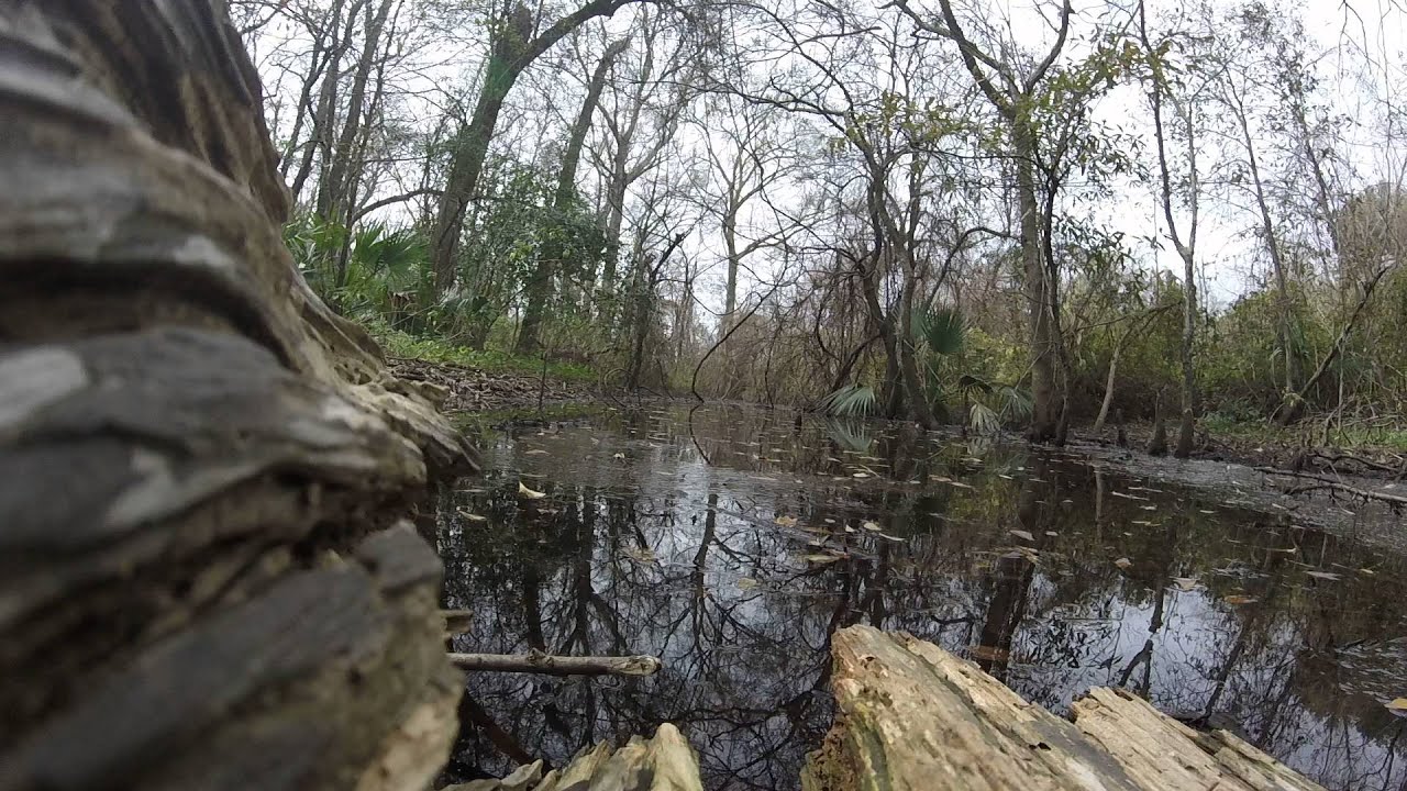 Marrero, Jefferson Parish, Louisiana YouTube