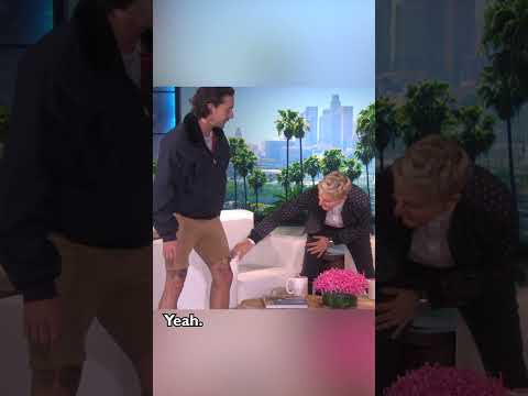 Shia LaBeouf Shows
