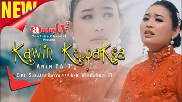 KAWIN KEPAKSA - ARIN DA