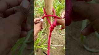 Incredible Slip knot! !