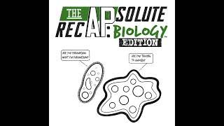 The APsolute Recap: Biology Edition - Osmosis and Water Potential