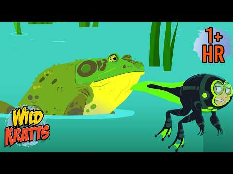 Baby Tadpoles in Danger!🐸💦  Wild Kratts to the Rescue | Scholastic Kids