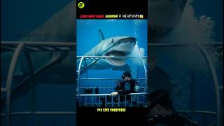 Why Any Aquarium Don't Have Great White Shark In The World😱🦈#fact#short#