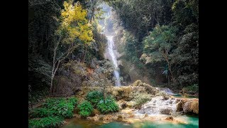 Beautiful world music - flutes