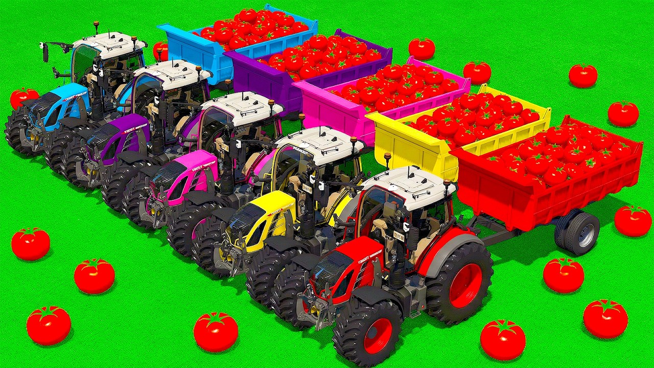 LOAD AND TRANSPORT TOMATOES WITH FENDT TRACTORS & HARVEST SORGHUM – Farming Simulator 25